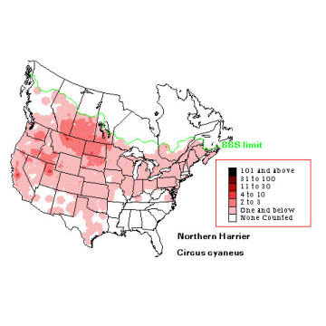 Northern Harrier distribution map