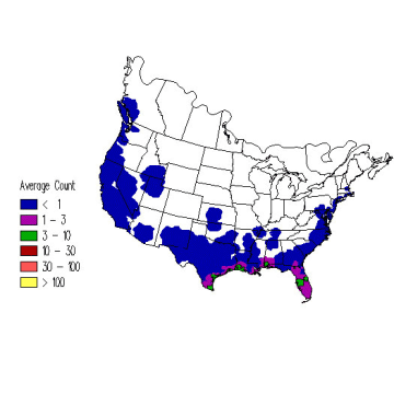 Lesser Yellowlegs winter distribution map