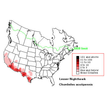 Lesser Nighthawk distribution map