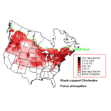 Black-capped Chickadee distribution map