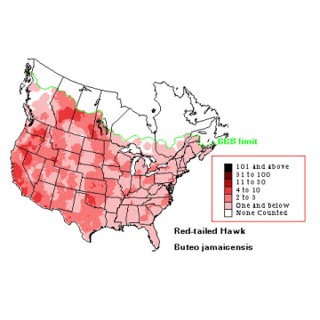 Red-tailed Hawk distribution map