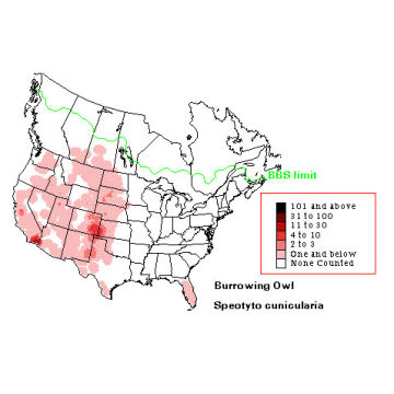 Burrowing Owl distribution map