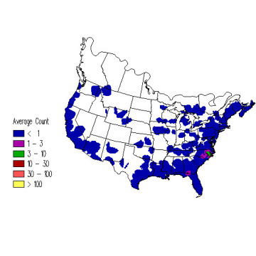 Baltimore Oriole winter distribution map