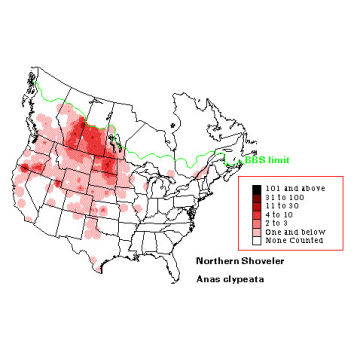 Northern Shoveler distribution map