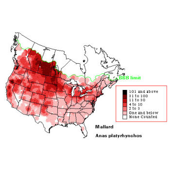 Mallard distribution map