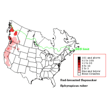 Red-breasted Sapsucker distribution map
