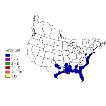 King Rail winter distribution map