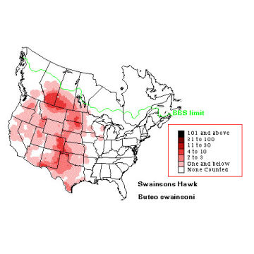 Swainson's Hawk distribution map