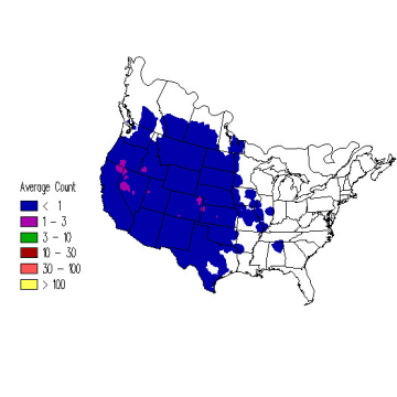 Prairie Falcon winter distribution map