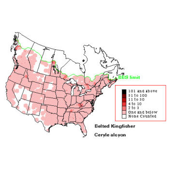 Belted Kingfisher distribution map