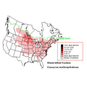 Black-billed Cuckoo distribution map
