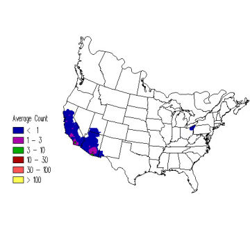 Lawrence's Goldfinch winter distribution map