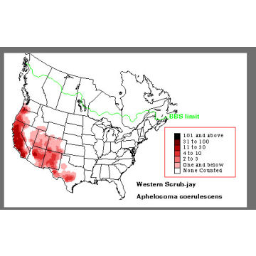 Florida Scrub-Jay distribution map