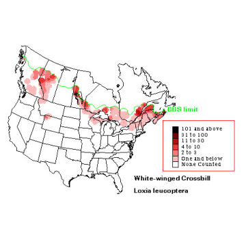 White-winged Crossbill distribution map