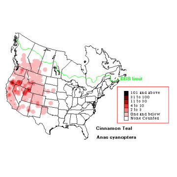 Cinnamon Teal distribution map