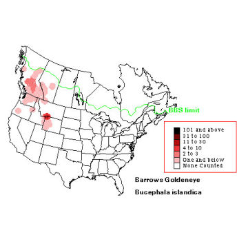 Barrow's Goldeneye distribution map