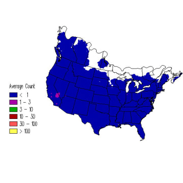 Cooper's Hawk winter distribution map