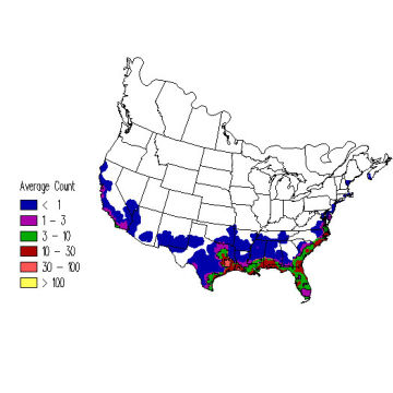 Forster's Tern winter distribution map