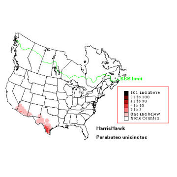 Harris' Hawk distribution map