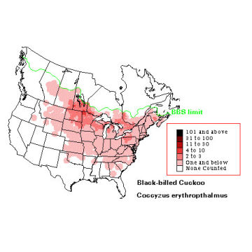 Black-billed Cuckoo distribution map