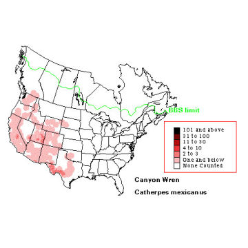 Canyon Wren distribution map