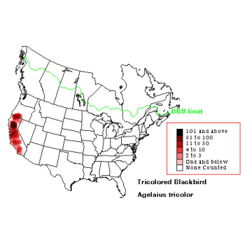 Tricolored Blackbird distribution map