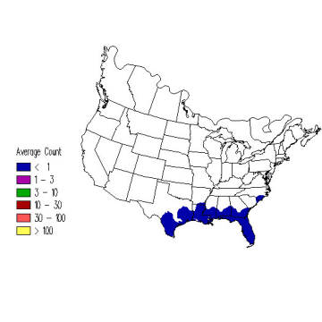 Yellow-throated Vireo winter distribution map