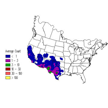 Rufous-crowned Sparrow winter distribution map