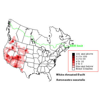 White-throated Swift distribution map