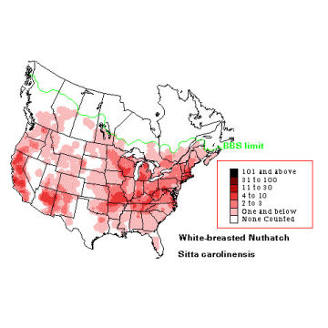 White-breasted Nuthatch distribution map