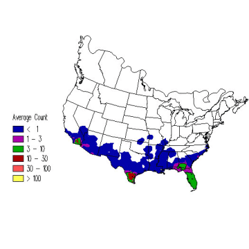 Common Ground-Dove winter distribution map