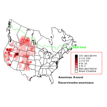 American Avocet distribution map