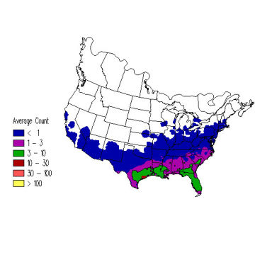 Eastern Phoebe winter distribution map