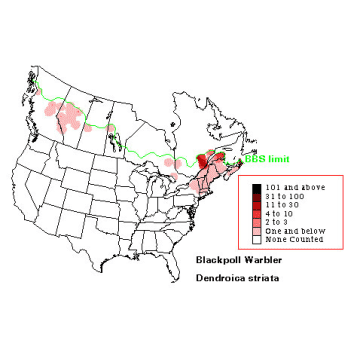 Blackpoll Warbler distribution map