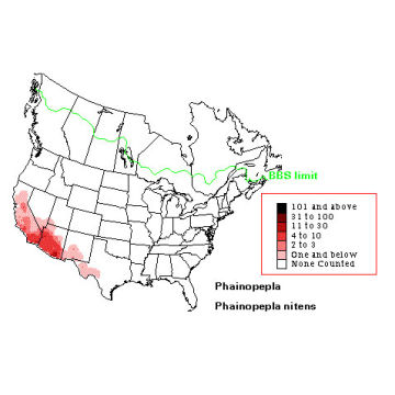 Phainopepla distribution map