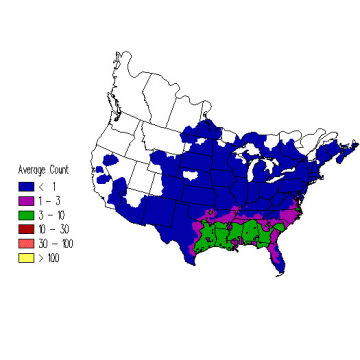Brown Thrasher winter distribution map