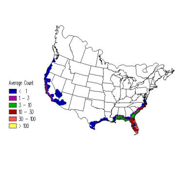 Brown Pelican winter distribution map