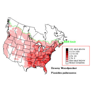 Downy Woodpecker distribution map