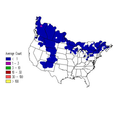 American Three-toed Woodpecker winter distribution map