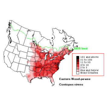 Eastern Wood-Pewee distribution map