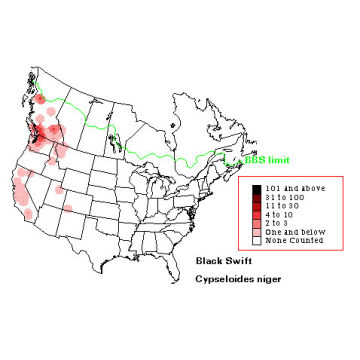 Black Swift distribution map