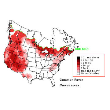 Common Raven distribution map