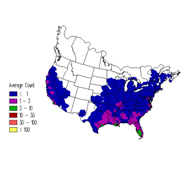 Red-shouldered Hawk winter distribution map