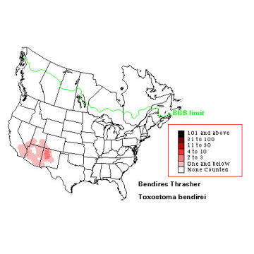 Bendire's Thrasher distribution map