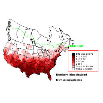 Northern Mockingbird distribution map