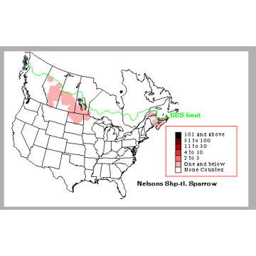 Nelson's Sharp-tailed Sparrow distribution map