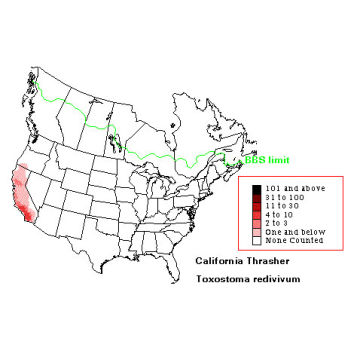 California Thrasher distribution map