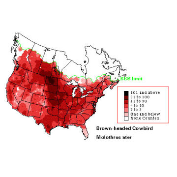 Brown-headed Cowbird distribution map