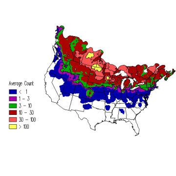 Common Redpoll winter distribution map