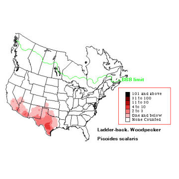 Ladder-backed Woodpecker distribution map